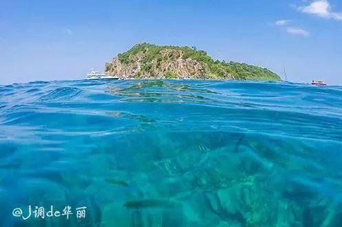 诱捕小浣熊